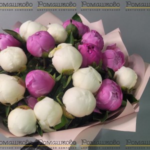 Превью Букет из 19 Пионов Микс «Разнообразие красок»