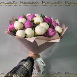 Превью Букет из 19 Пионов Микс «Разнообразие красок»