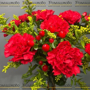 Превью Букет из гвоздик «Искрящийся кармин»