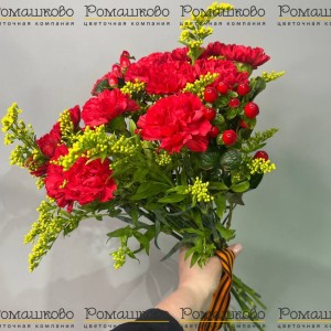 Превью Букет из гвоздик «Искрящийся кармин»