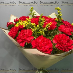 Превью Букет из гвоздик «Алые сердца»