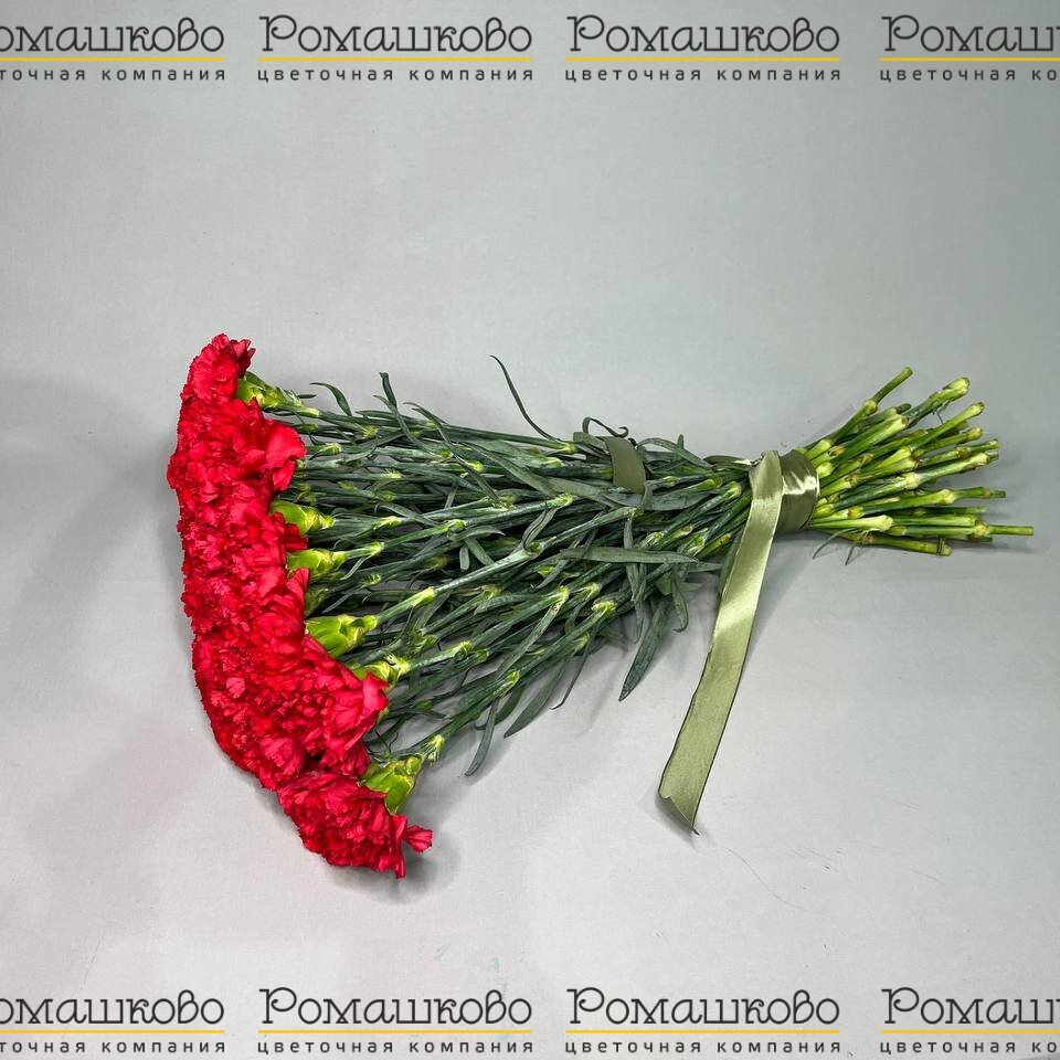 Букет из гвоздик «Гвоздики алого цвета»