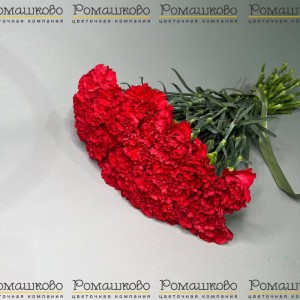 Превью Букет из гвоздик «Гвоздики алого цвета»