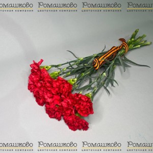 Превью Букет из гвоздик «За Родину!»