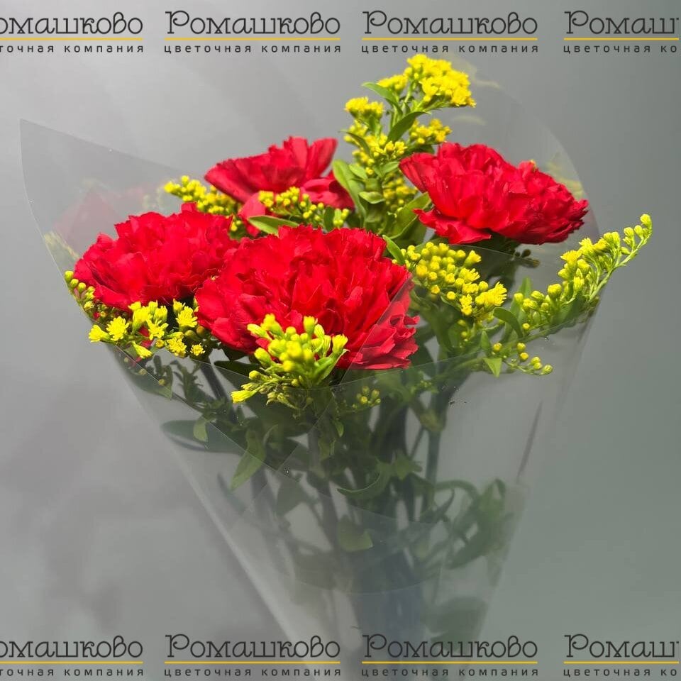 Букет из гвоздик «Небо героев»