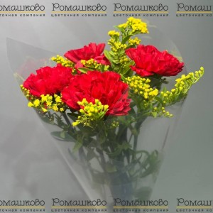 Превью Букет из гвоздик «Небо героев»
