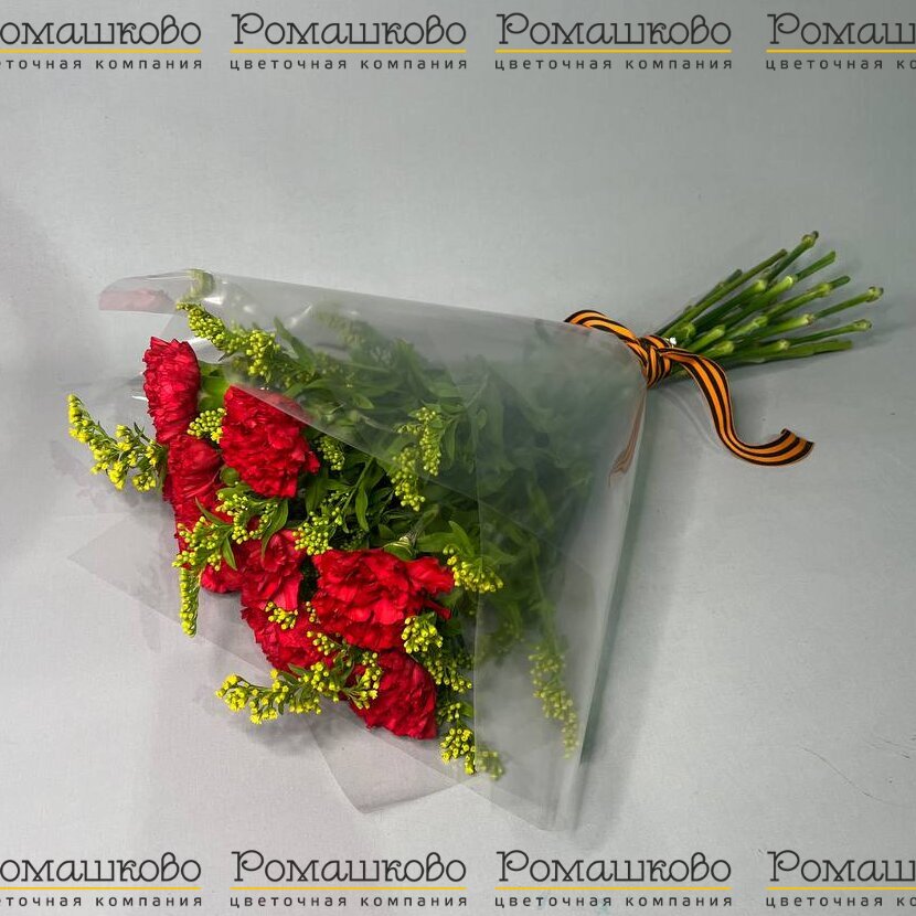 Букет из гвоздик «Майская слава»