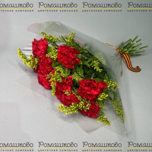 Превью Букет из гвоздик «Майская слава»