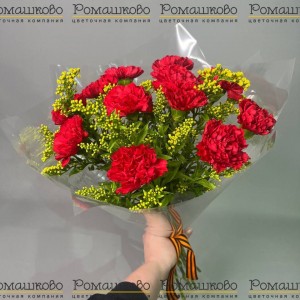 Превью Букет из гвоздик «Майская слава»