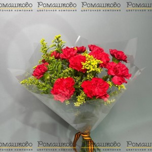 Превью Букет из гвоздик «Майская слава»