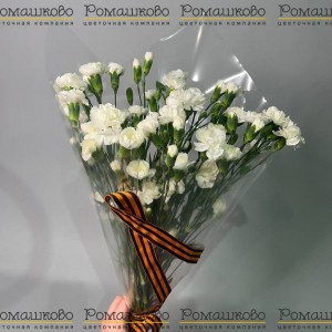 Превью Букет из гвоздик «Спасибо, Ветераны!»