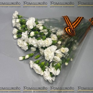 Превью Букет из гвоздик «Спасибо, Ветераны!»