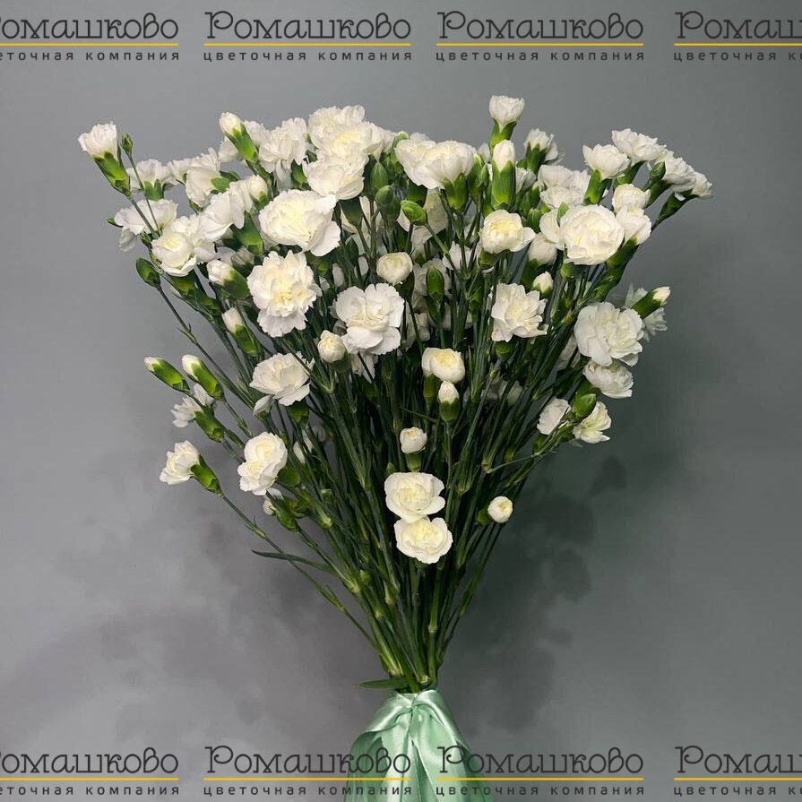 Букет из гвоздик «Цветочный фейверк»