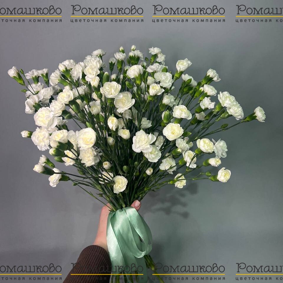 Букет из гвоздик «Цветочный фейверк»