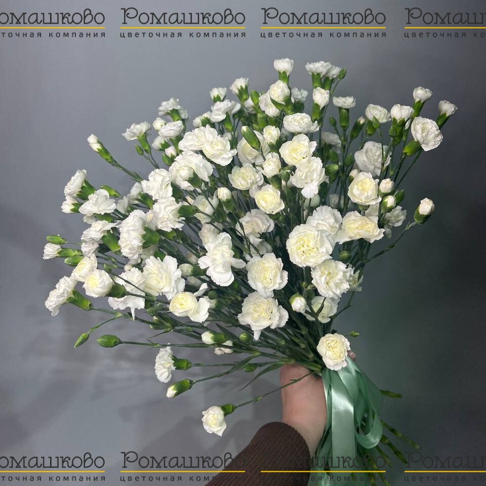 Букет из гвоздик «Цветочный фейверк»