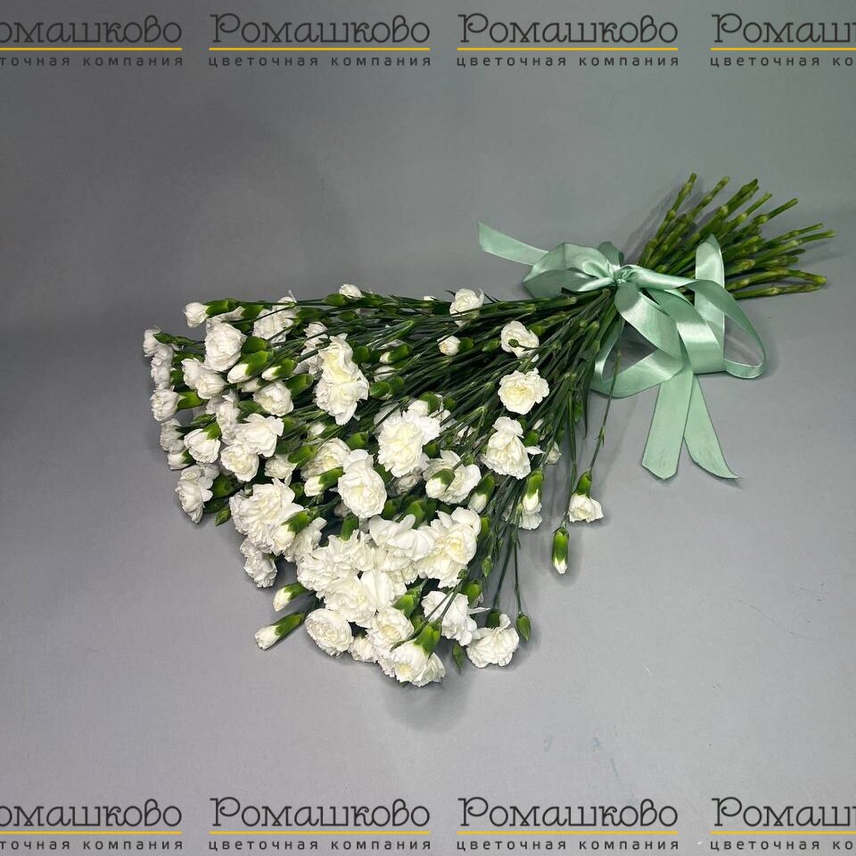 Букет из гвоздик «Цветочный фейверк»