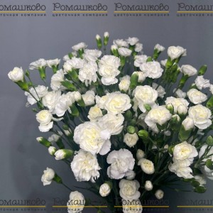 Превью Букет из гвоздик «Цветочный фейверк»