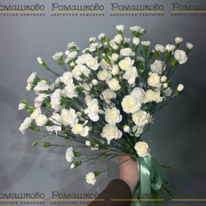 Превью Букет из гвоздик «Цветочный фейверк»