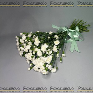 Превью Букет из гвоздик «Цветочный фейверк»