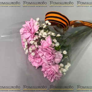 Превью Букет из гвоздик «Мира и победы»