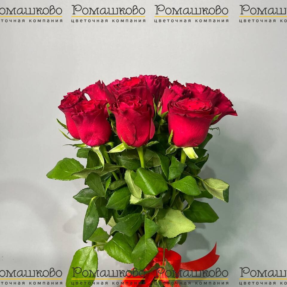 15 красных роз Кения (40см)