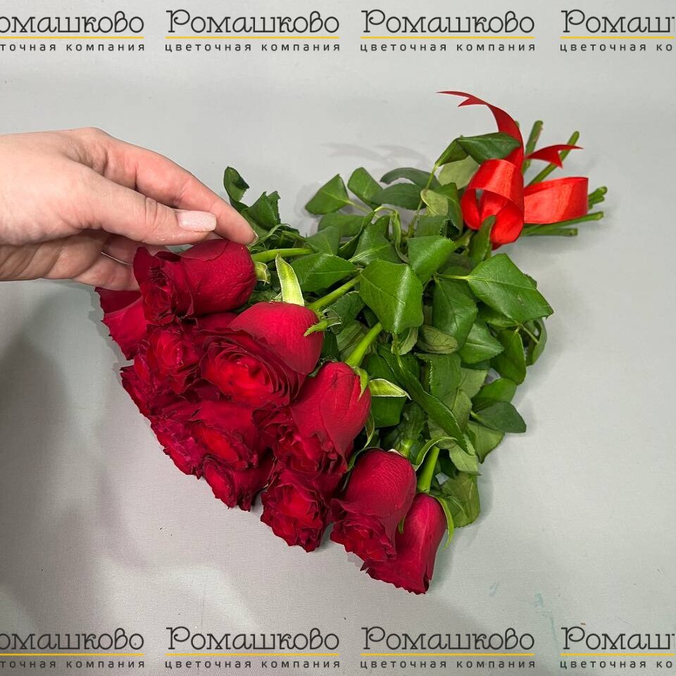 15 красных роз Кения (40см)