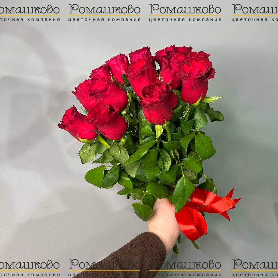 15 красных роз Кения (40см)