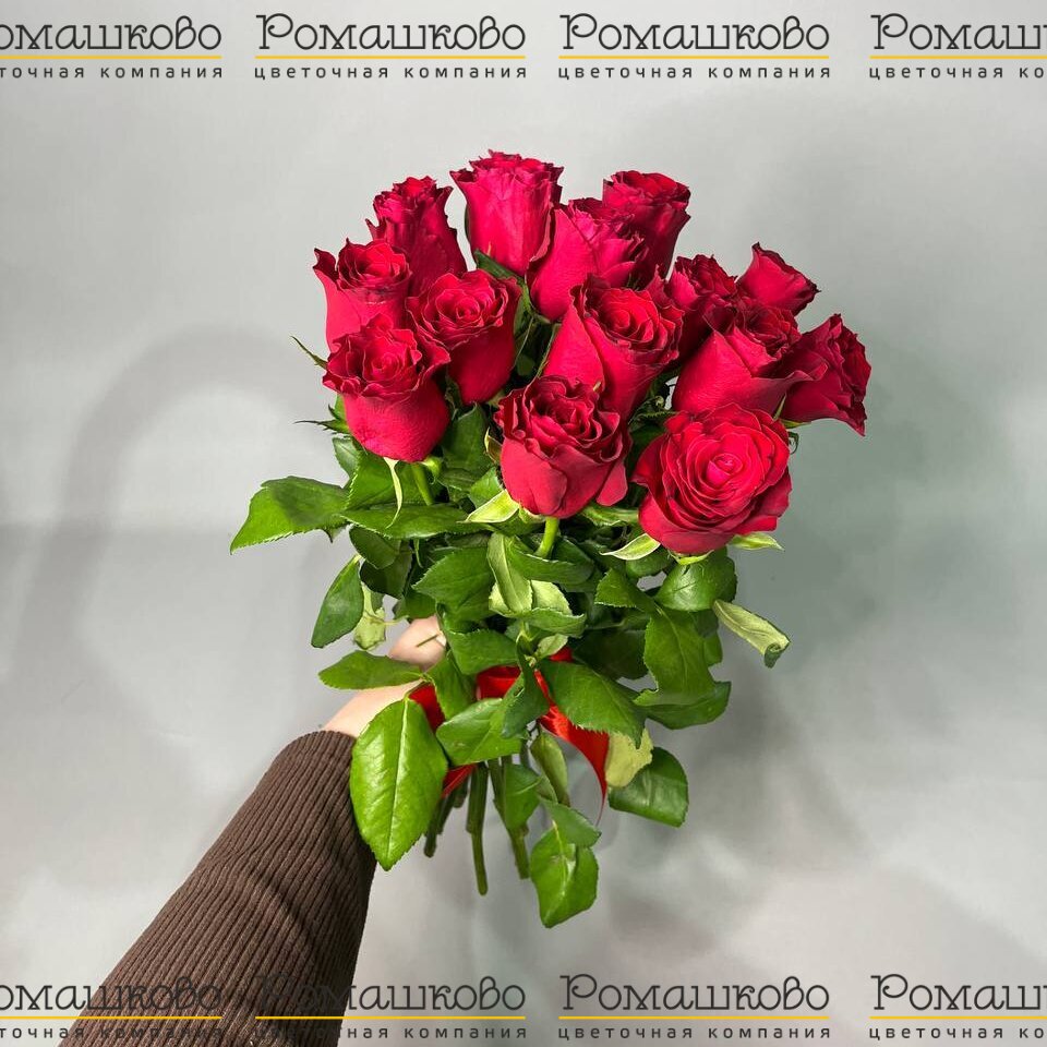 15 красных роз Кения (40см)
