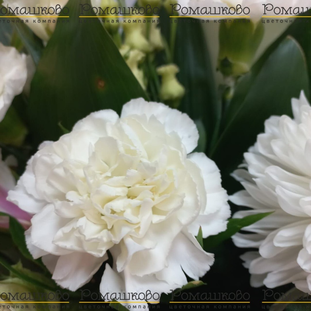 Букет из хризантем 