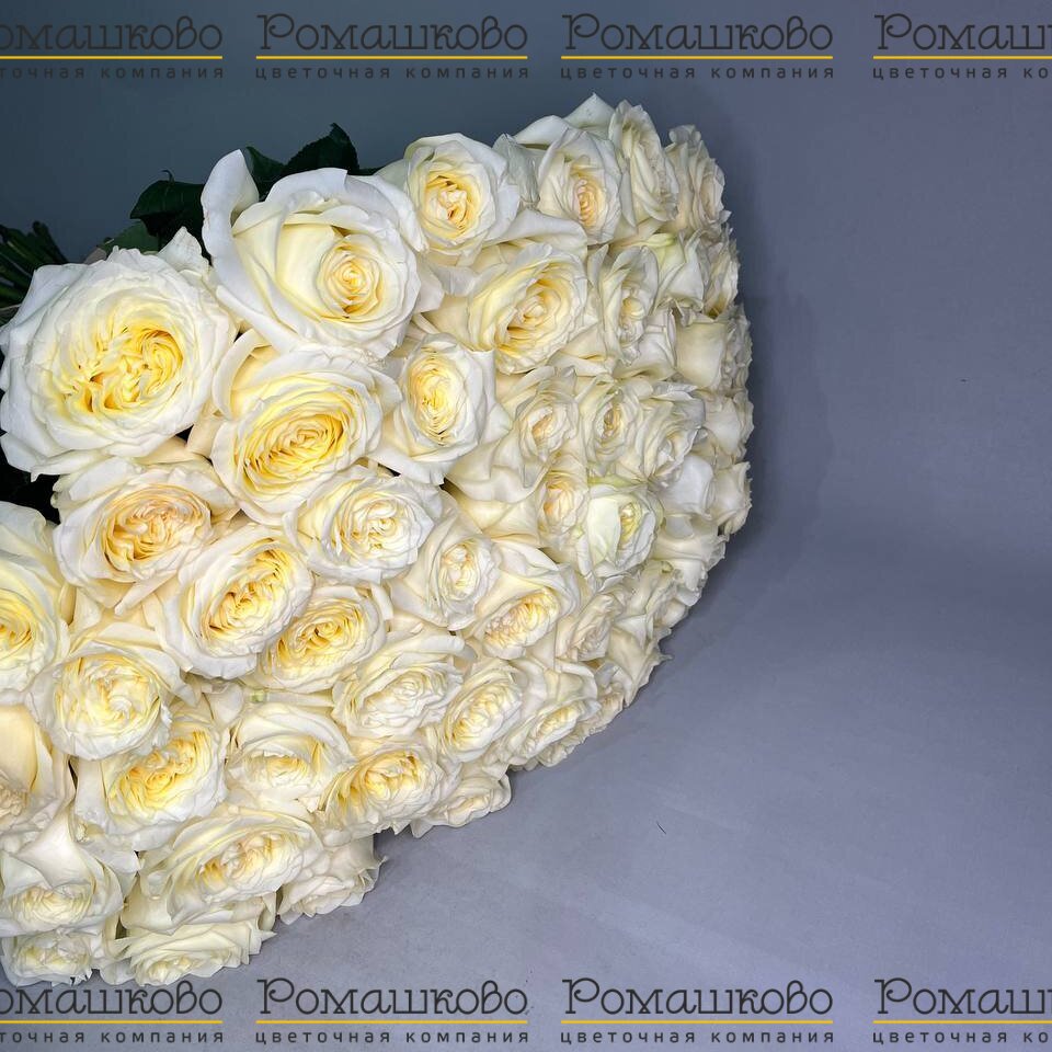 Букет из 51 пионовидной розы (70 см)