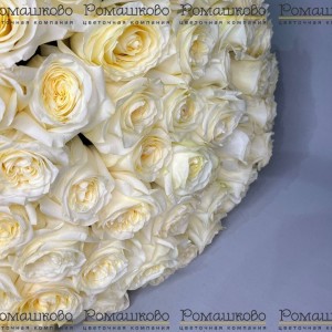 Превью Букет из 51 пионовидной розы (70 см)