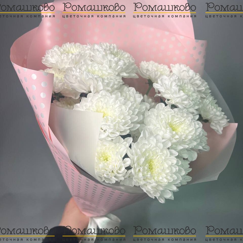 Букет из хризантемы «Чистый шарм»