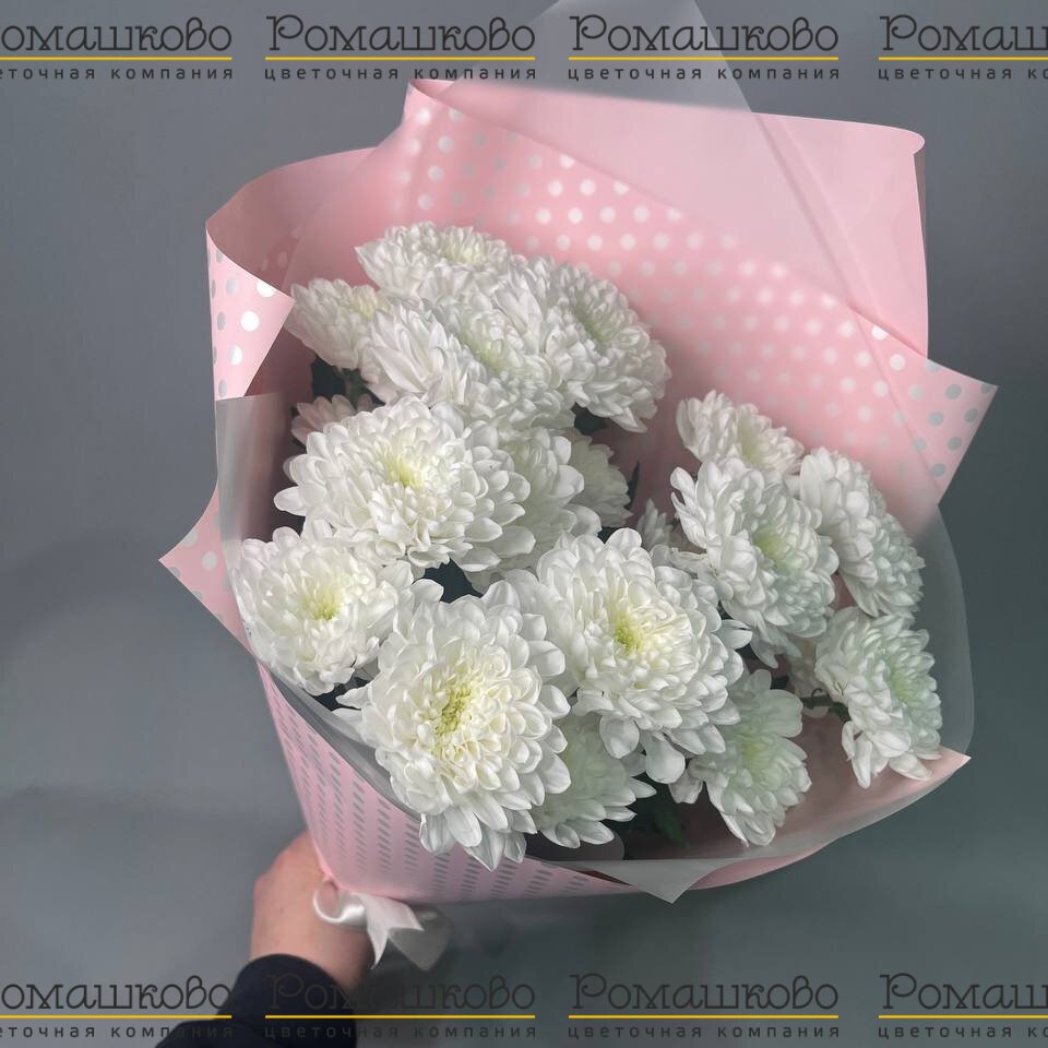 Букет из хризантемы «Чистый шарм»