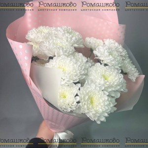 Превью Букет из хризантемы «Чистый шарм»