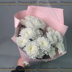 Превью Букет из хризантемы «Чистый шарм»