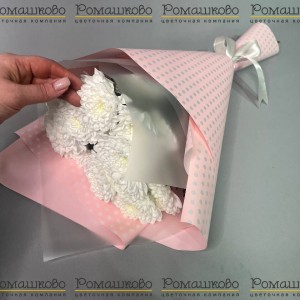 Превью Букет из хризантемы «Чистый шарм»