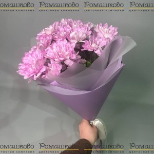 Превью Букет из хризантемы «Лавандовая мечта»