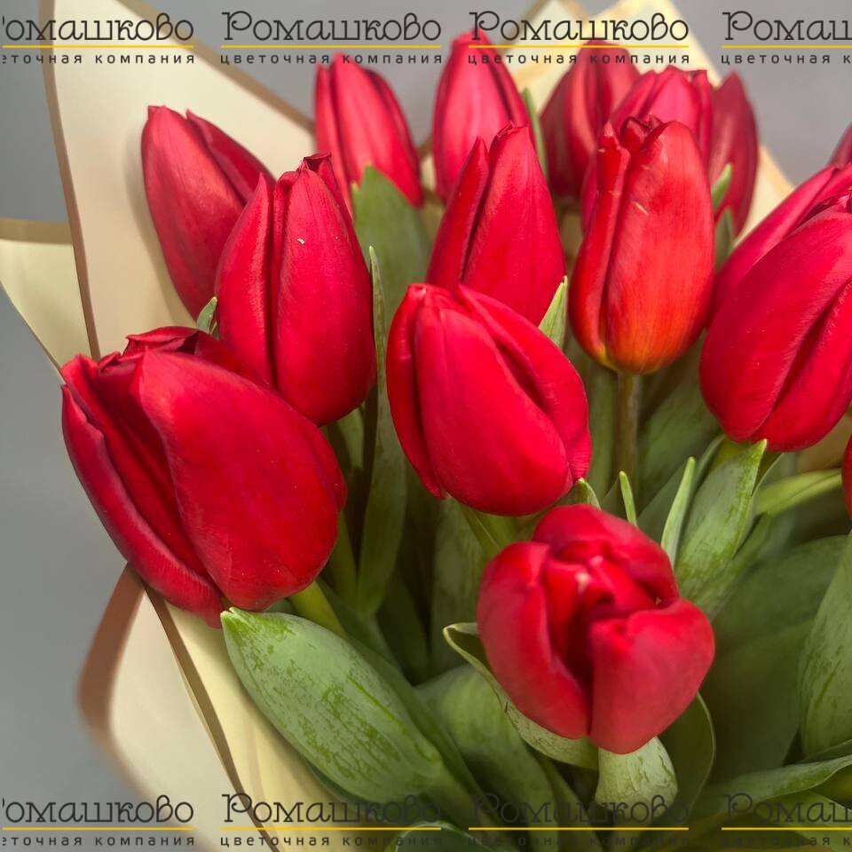Букет из 21 красного тюльпана