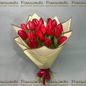 Превью Букет из 21 красного тюльпана