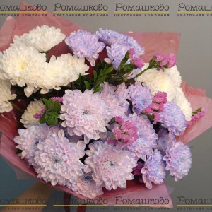 Превью Букет из хризантемы «Арктический бриз»