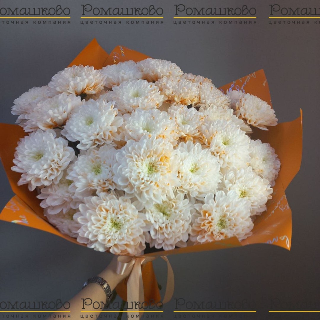Букет из 9 крашенных хризантем