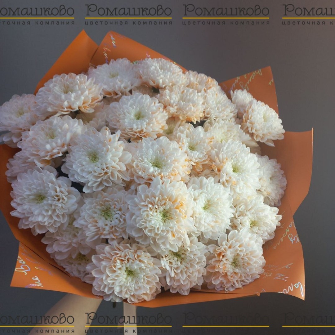 Букет из 9 крашенных хризантем