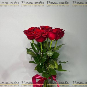 Превью Букет из розы «Миниатюрная радость»