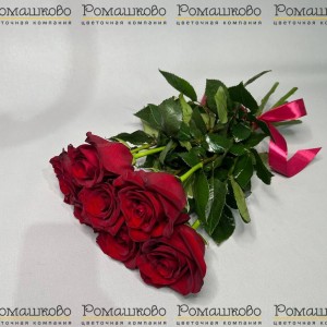 Превью Букет из розы «Миниатюрная радость»