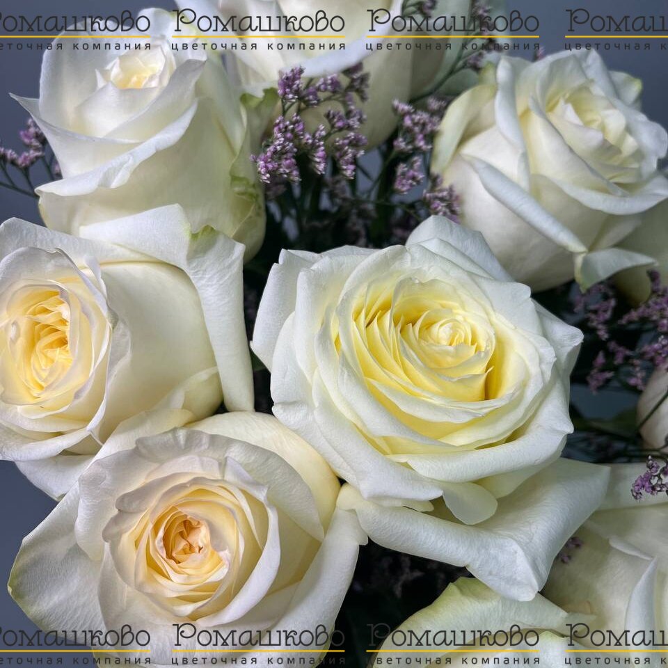 Букет из 11 пионовидных роз