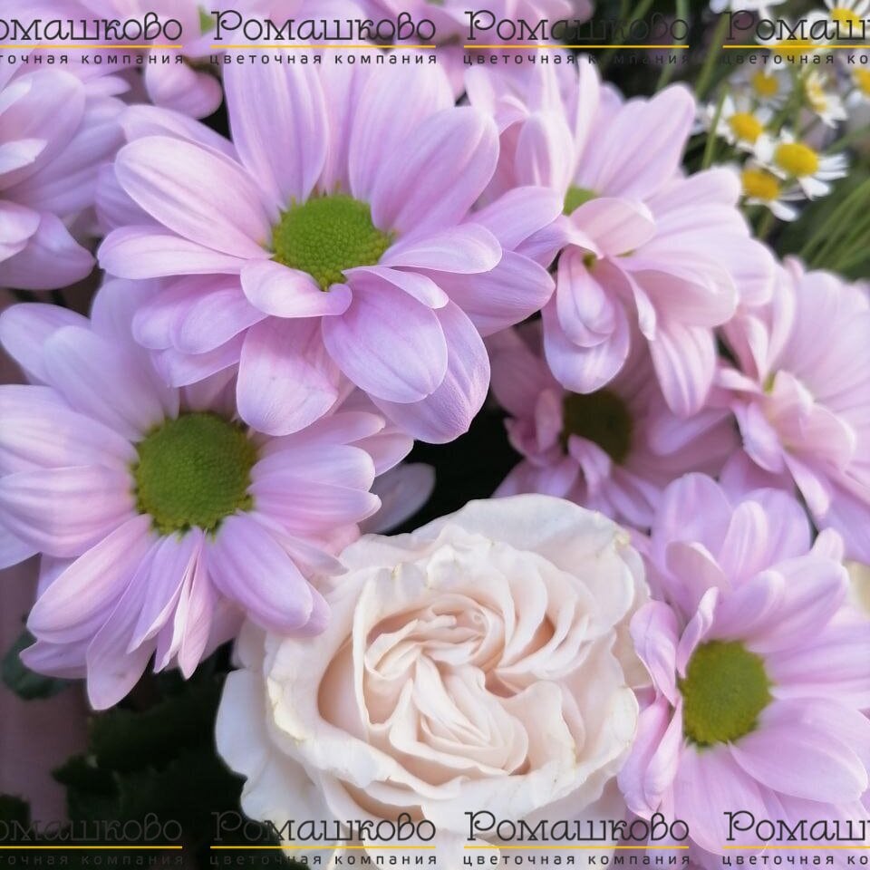 Букет «Облако нежности»