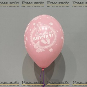 Превью Воздушный шар 