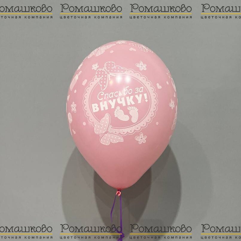 Воздушный шар 