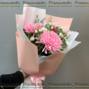 Превью Букет из хризантем «Красивые слова»