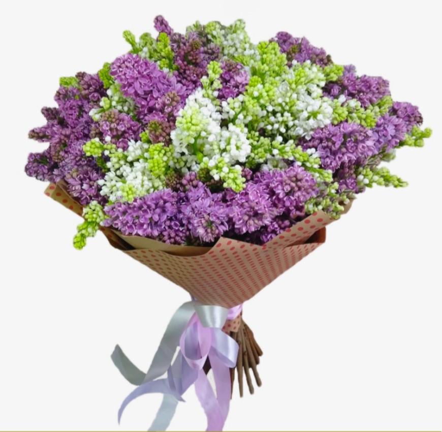 Букет из сирени 